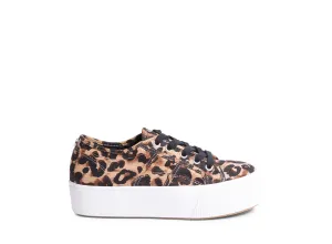 EMMI LEOPARD