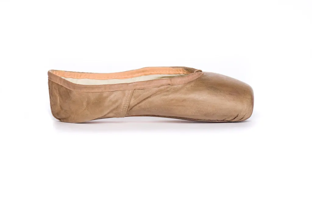 Fabric Pointe Paint | Agave
