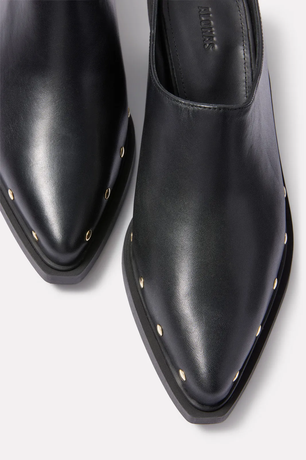 Lorenzo Mule