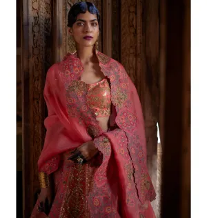 Radhika Simmer Lehenga Set