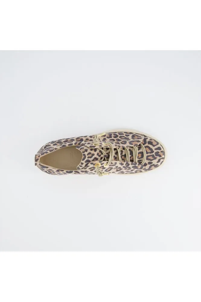 SS25 Paul Green Leopardino Desert
