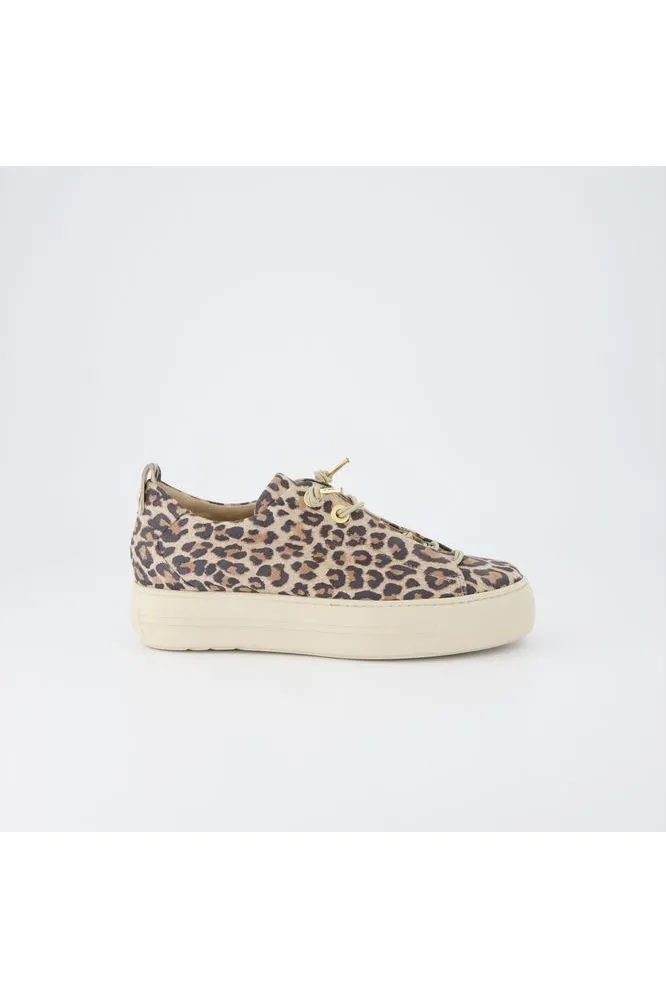 SS25 Paul Green Leopardino Desert