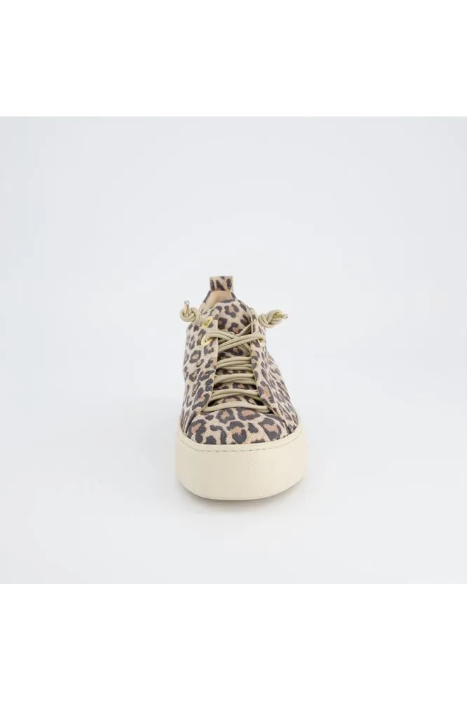 SS25 Paul Green Leopardino Desert