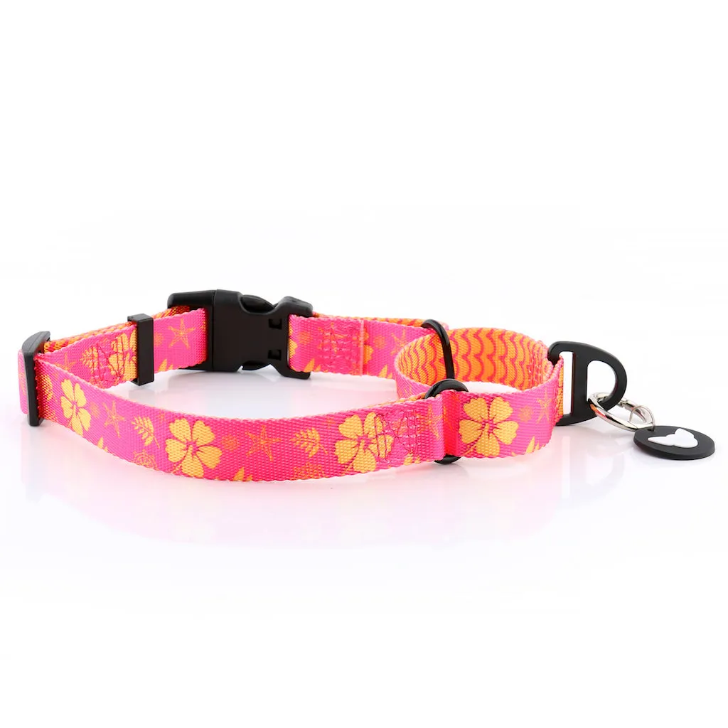 Tropical Party Premium Training Dog Collar